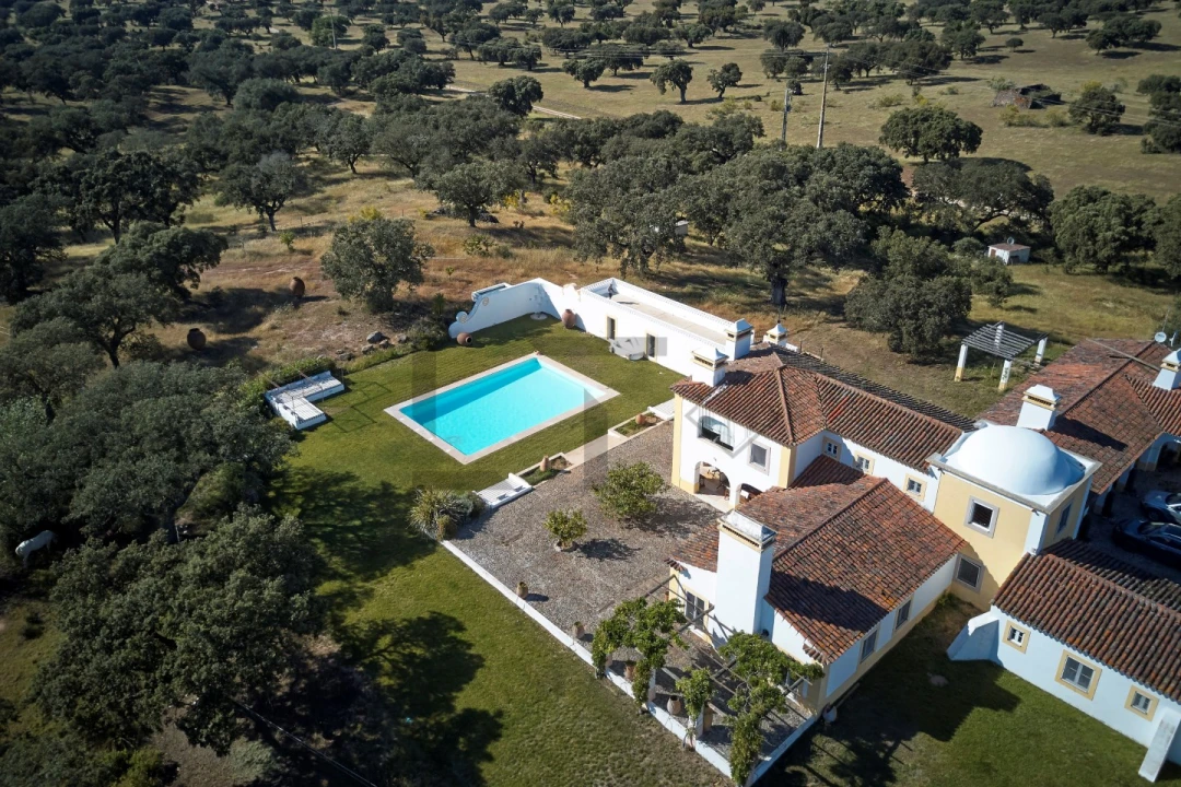 Quinta T8 para Venda em Monforte Foto 11