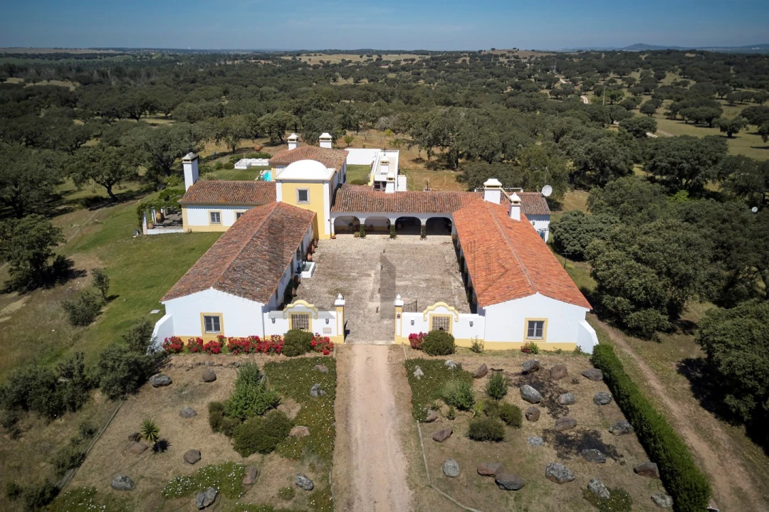 Quinta T8 para Venda em Monforte Foto 23