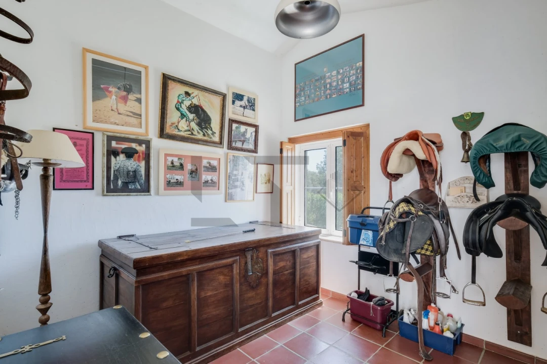 Quinta T8 para Venda em Monforte Foto 94