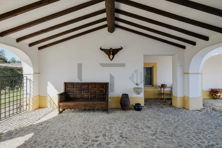 Quinta T8 para Venda em Monforte Foto 30