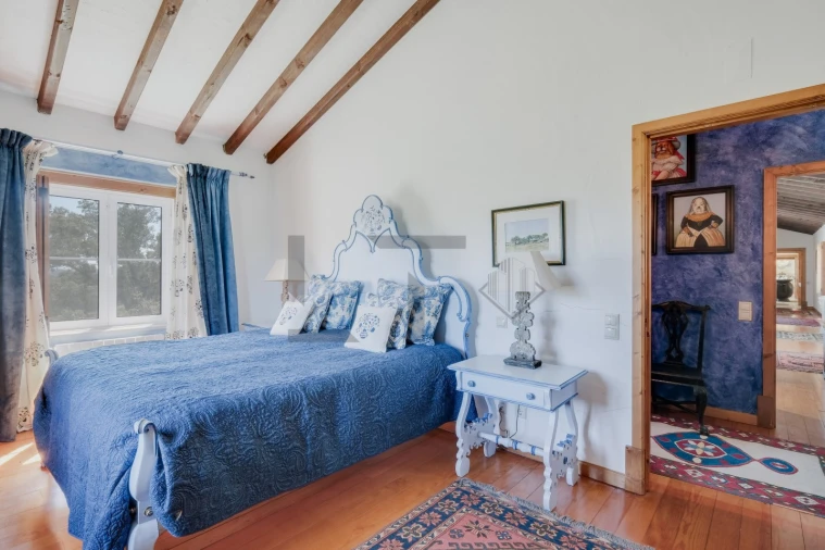 Quinta T8 para Venda em Monforte Foto 42