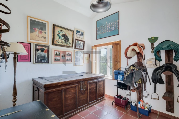 Quinta T8 para Venda em Monforte Foto 94