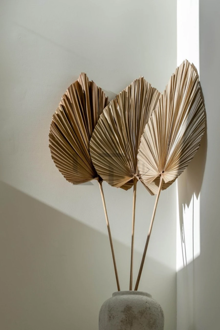 Moradia T3 para Venda em Santa Barbara de Nexe Foto 19