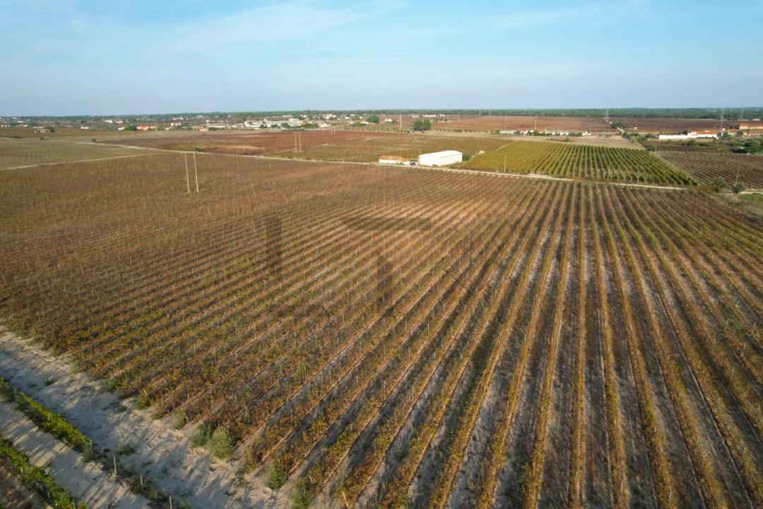 Terreno para Venda em Poceirão e Marateca Foto 2