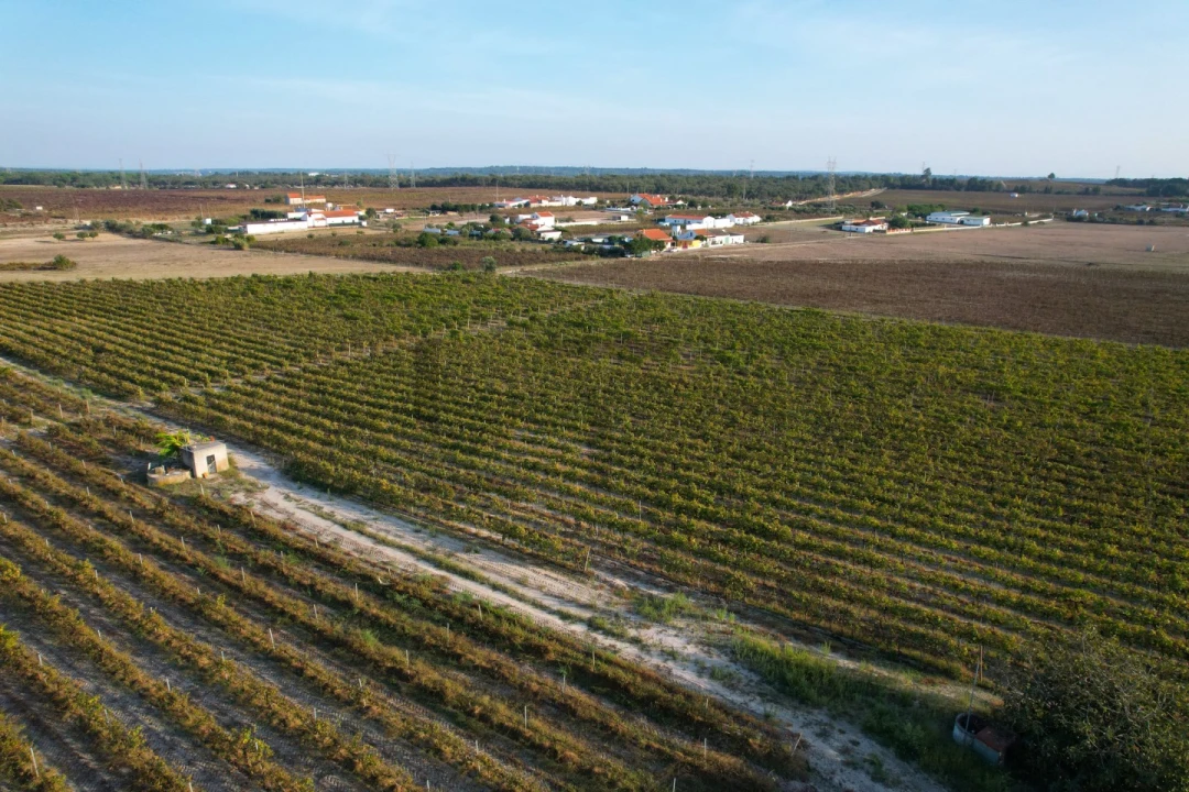 Terreno para Venda em Poceirão e Marateca Foto 16