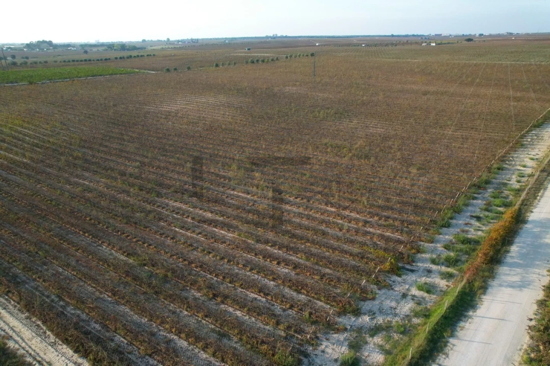 Terreno para Venda em Poceirão e Marateca Foto 26