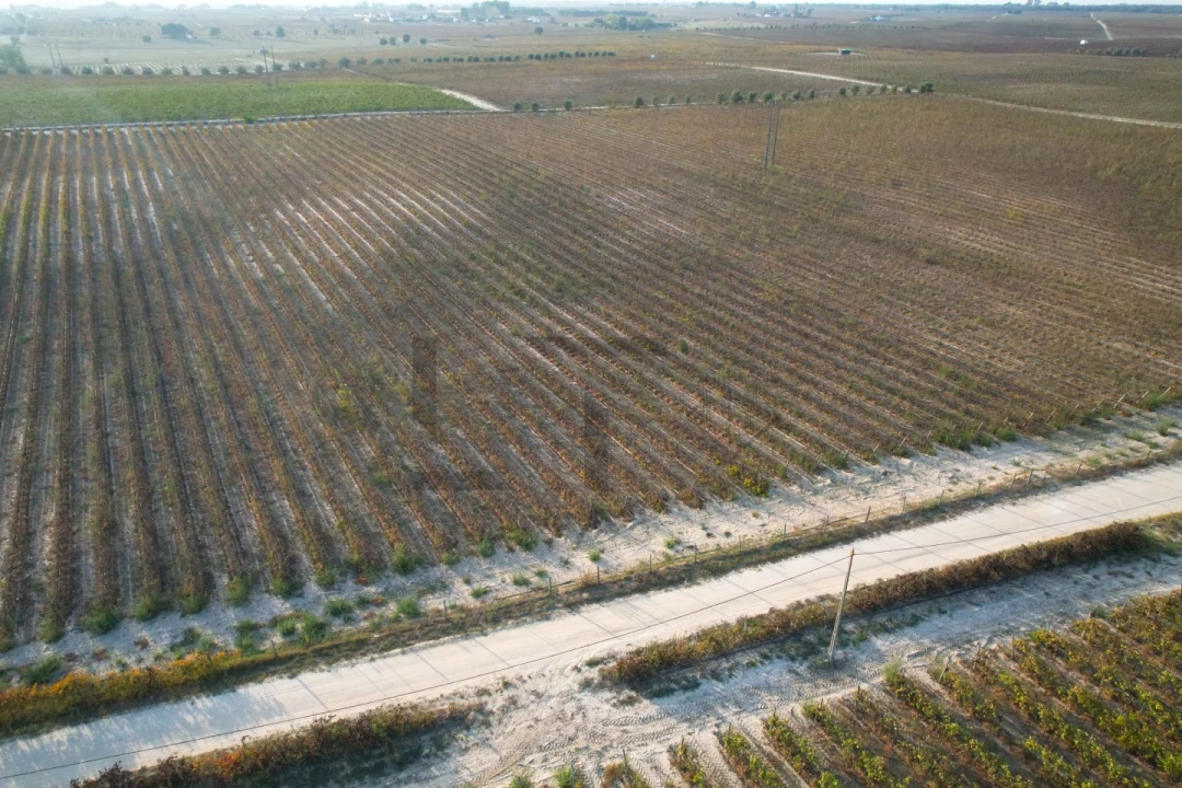 Terreno para Venda em Poceirão e Marateca Foto 29