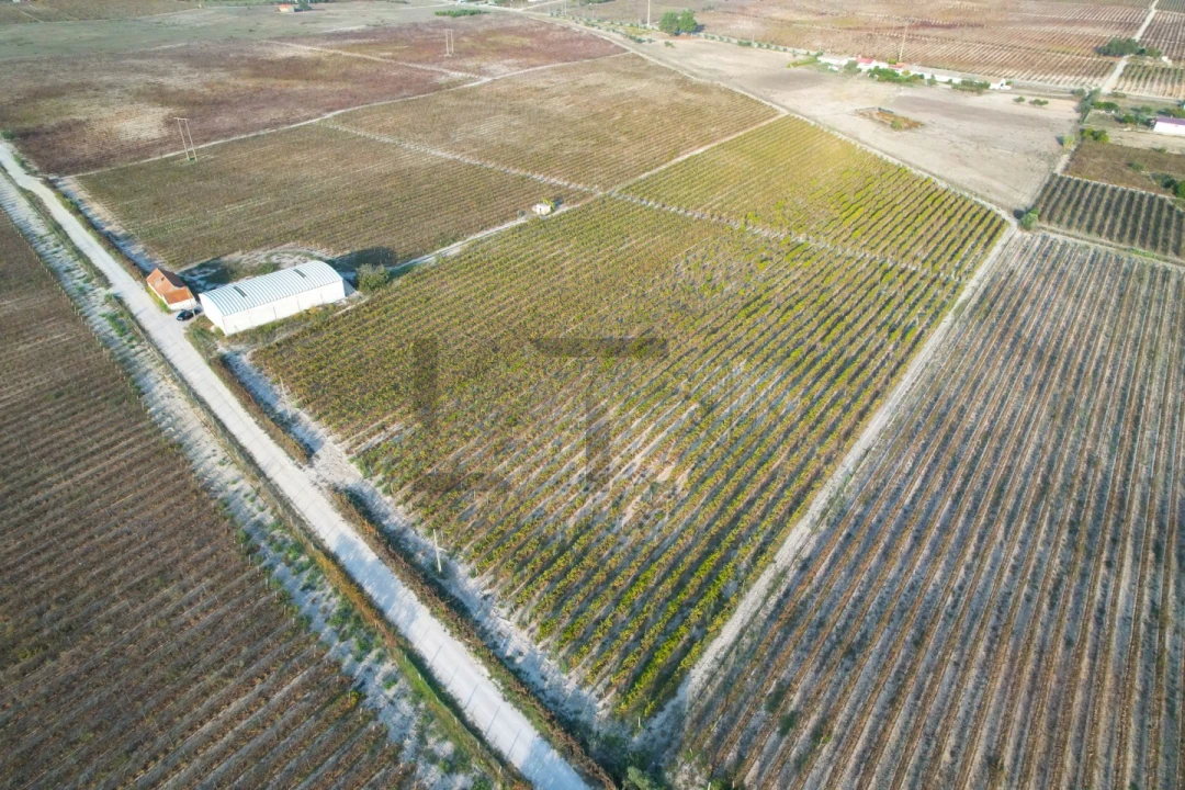 Terreno para Venda em Poceirão e Marateca Foto 30