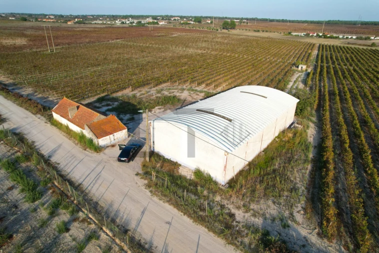 Terreno para Venda em Poceirão e Marateca Foto 3