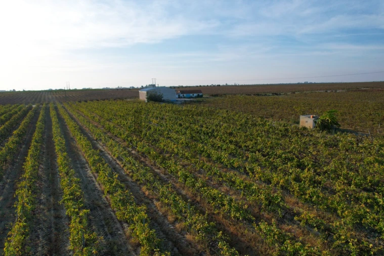 Terreno para Venda em Poceirão e Marateca Foto 18