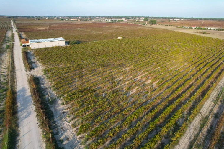 Terreno para Venda em Poceirão e Marateca Foto 27