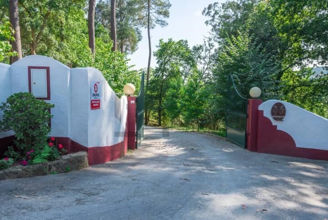 Quinta T7 para Venda em Pessegueiro do Vouga Foto 2