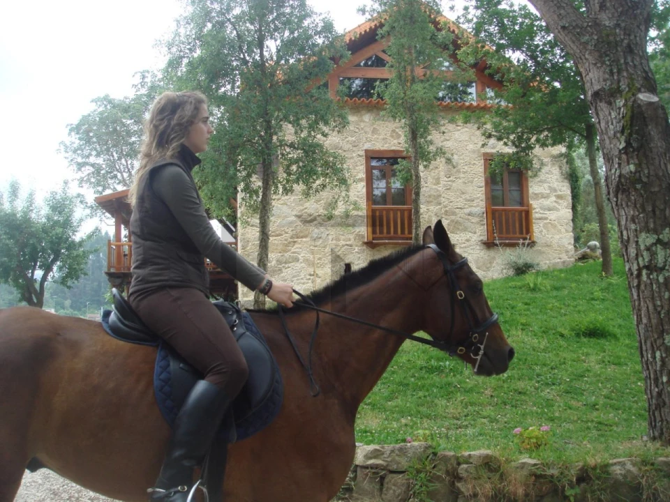 Quinta T7 para Venda em Pessegueiro do Vouga Foto 5