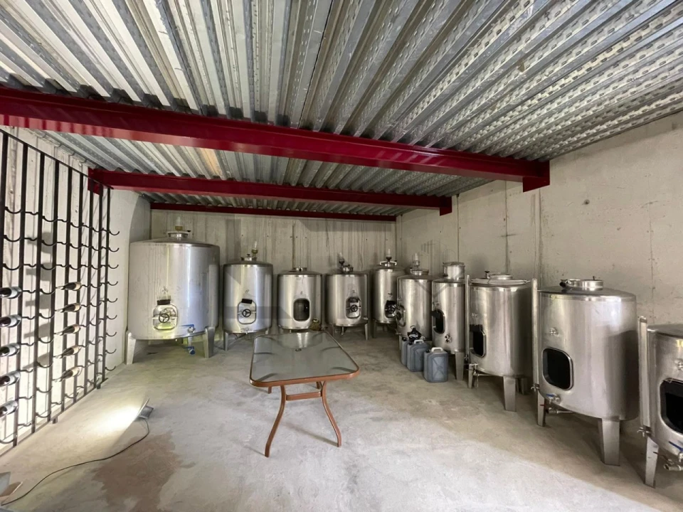 Quinta T7 para Venda em Pessegueiro do Vouga Foto 12