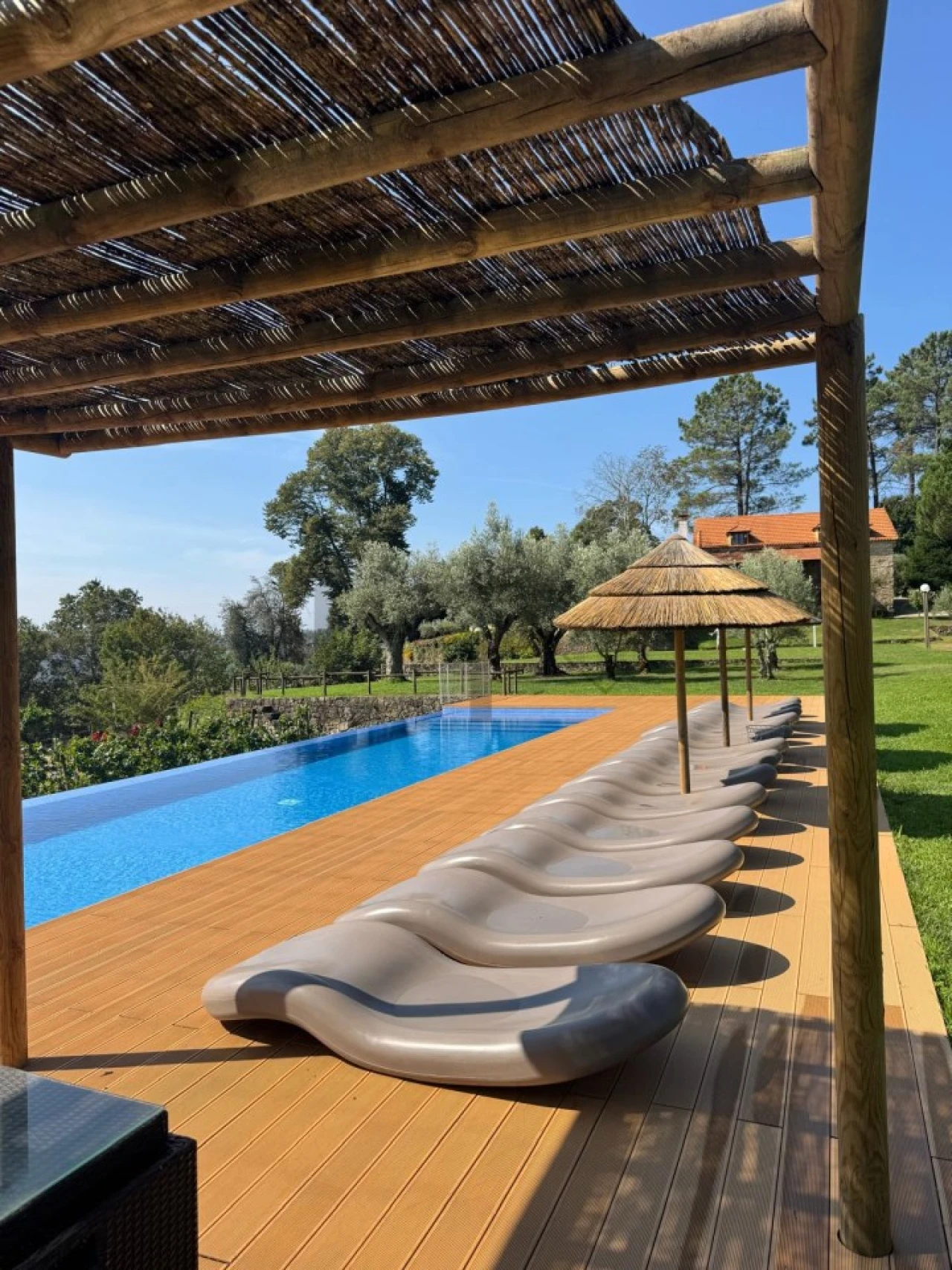 Quinta T7 para Venda em Pessegueiro do Vouga Foto 14