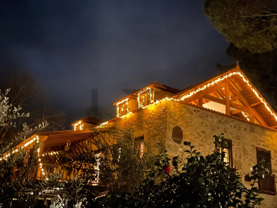 Quinta T7 para Venda em Pessegueiro do Vouga Foto 24