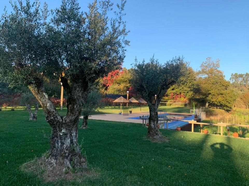 Quinta T7 para Venda em Pessegueiro do Vouga Foto 28