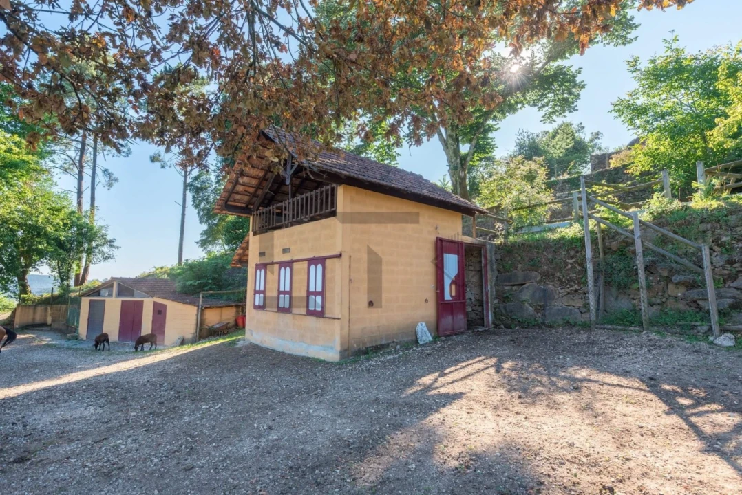 Quinta T7 para Venda em Pessegueiro do Vouga Foto 50