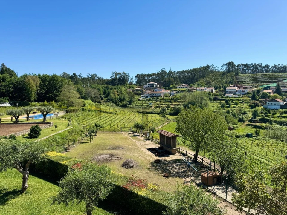 Quinta T7 para Venda em Pessegueiro do Vouga Foto 84