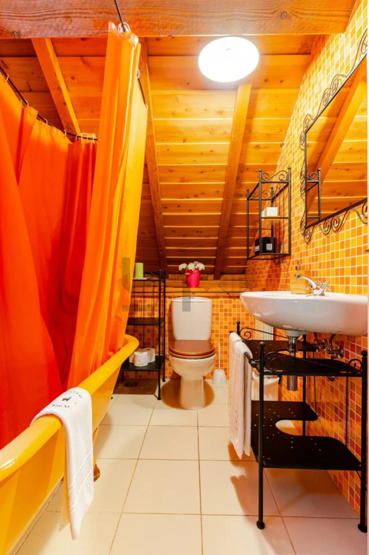 Quinta T7 para Venda em Pessegueiro do Vouga Foto 109