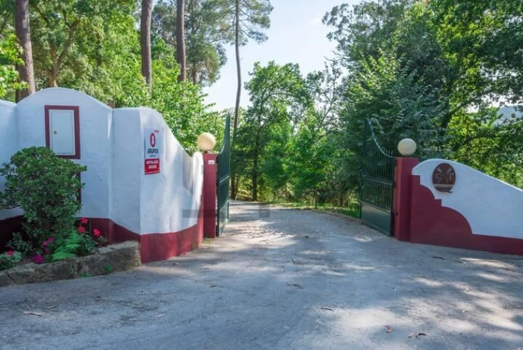 Quinta T7 para Venda em Pessegueiro do Vouga Foto 2