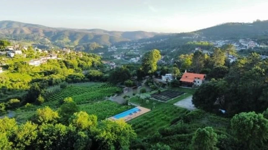 Quinta T7 para Venda em Pessegueiro do Vouga Foto 3