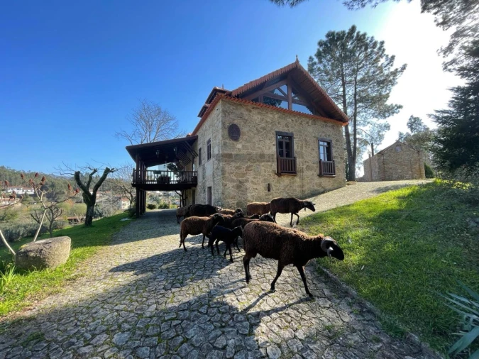Quinta T7 para Venda em Pessegueiro do Vouga Foto 7