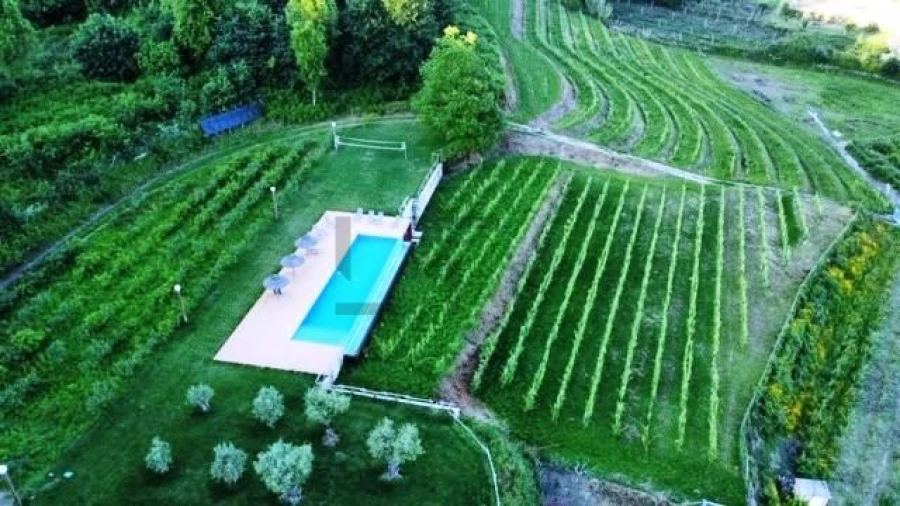 Quinta T7 para Venda em Pessegueiro do Vouga Foto 11