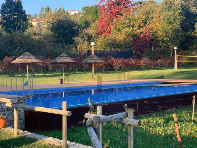 Quinta T7 para Venda em Pessegueiro do Vouga Foto 35