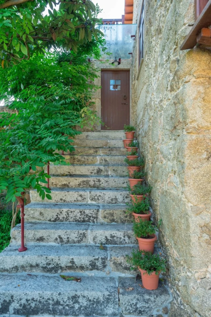 Quinta T7 para Venda em Pessegueiro do Vouga Foto 39