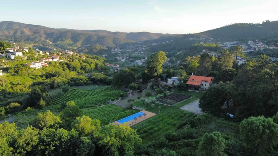 Quinta T7 para Venda em Pessegueiro do Vouga Foto 77