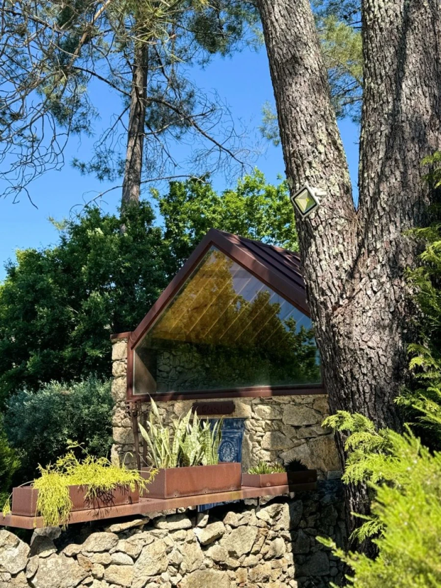 Quinta T7 para Venda em Pessegueiro do Vouga Foto 92