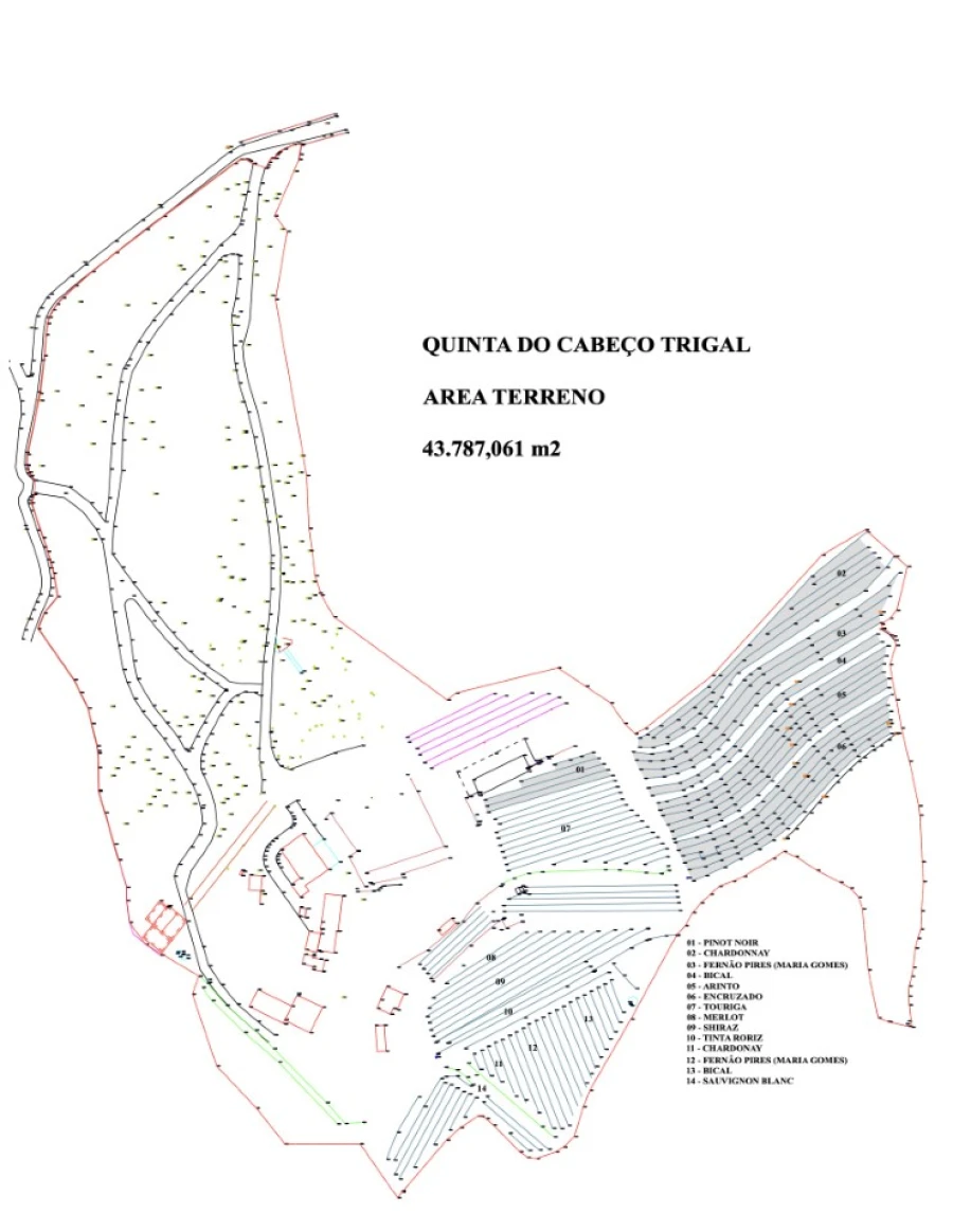 Quinta T7 para Venda em Pessegueiro do Vouga Planta 1