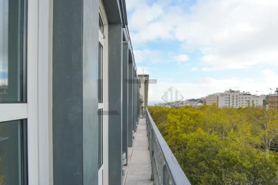 Apartamento T3 para Arrendamento em Santo António