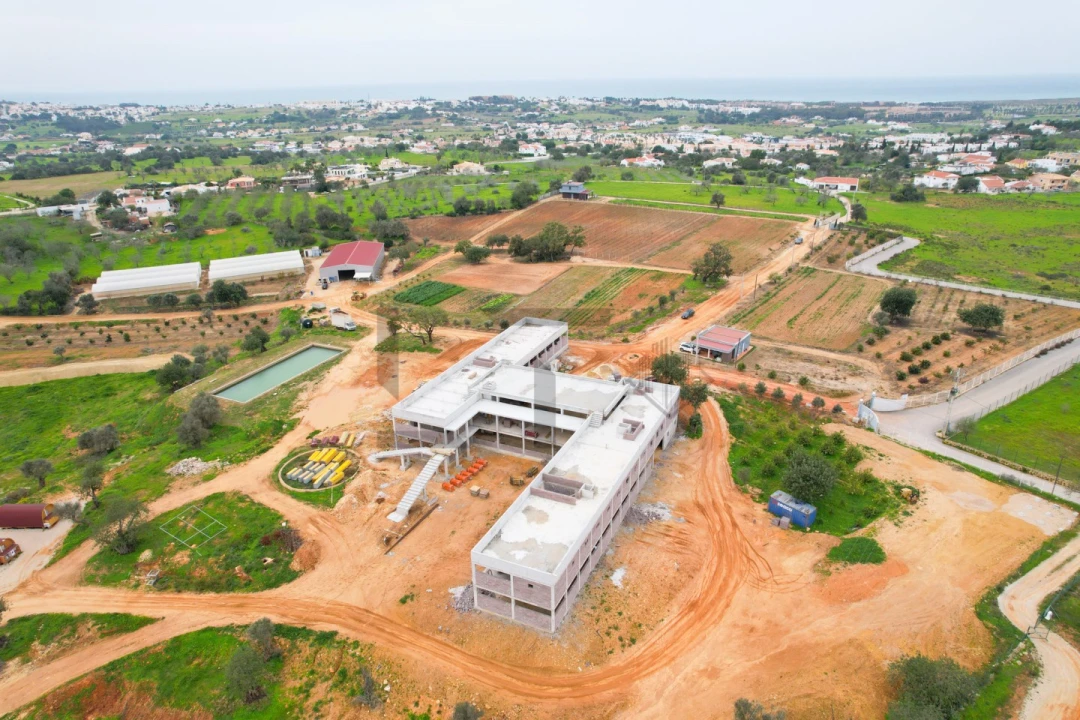 Negócio para Venda em Guia Foto 13