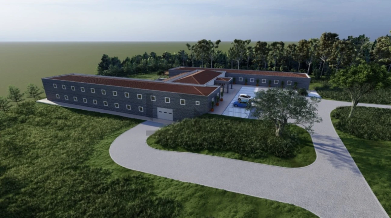 Negócio para Venda em Guia Foto 25