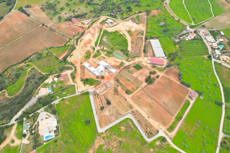 Negócio para Venda em Guia Foto 11