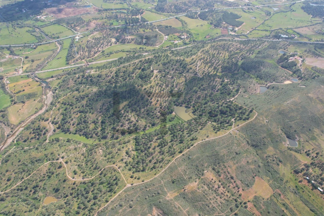 Terreno para Venda em São Bartolomeu de Messines Foto 16