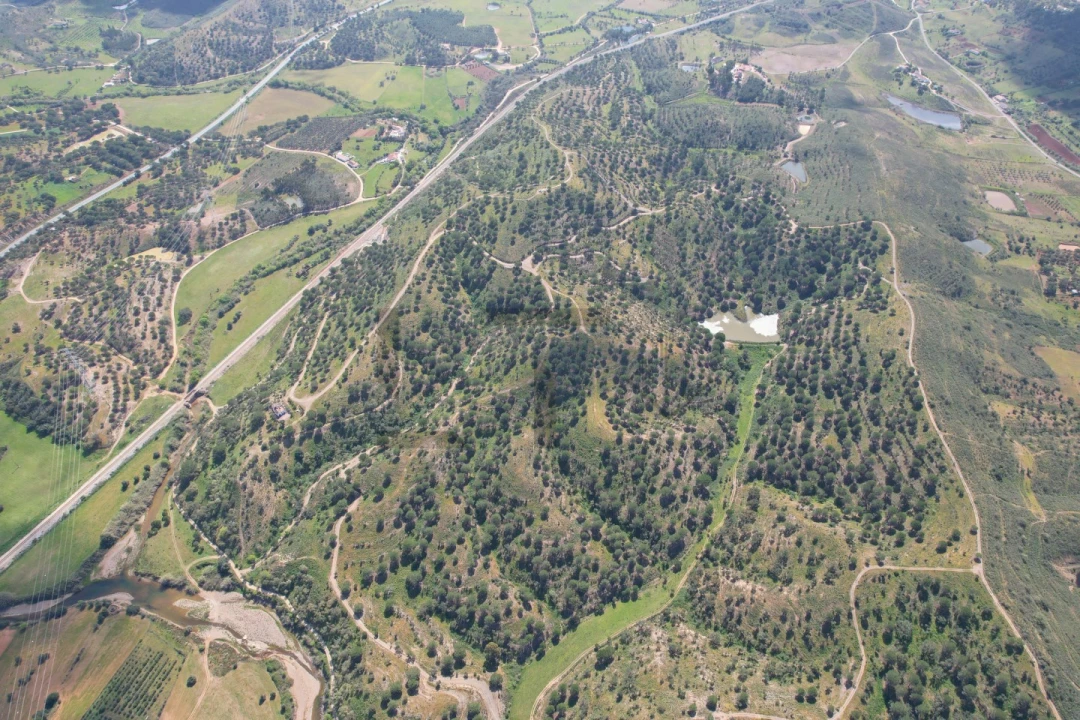 Terreno para Venda em São Bartolomeu de Messines Foto 23