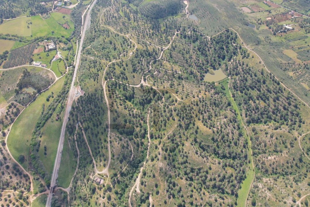 Terreno para Venda em São Bartolomeu de Messines Foto 26