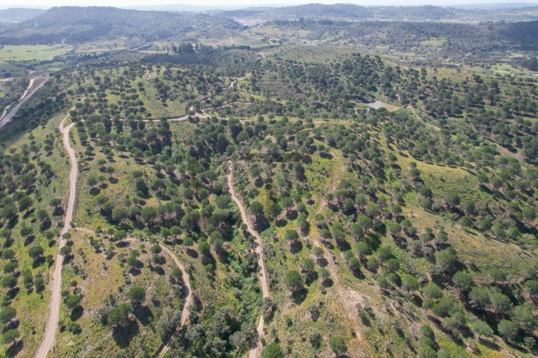 Terreno para Venda em São Bartolomeu de Messines Foto 29