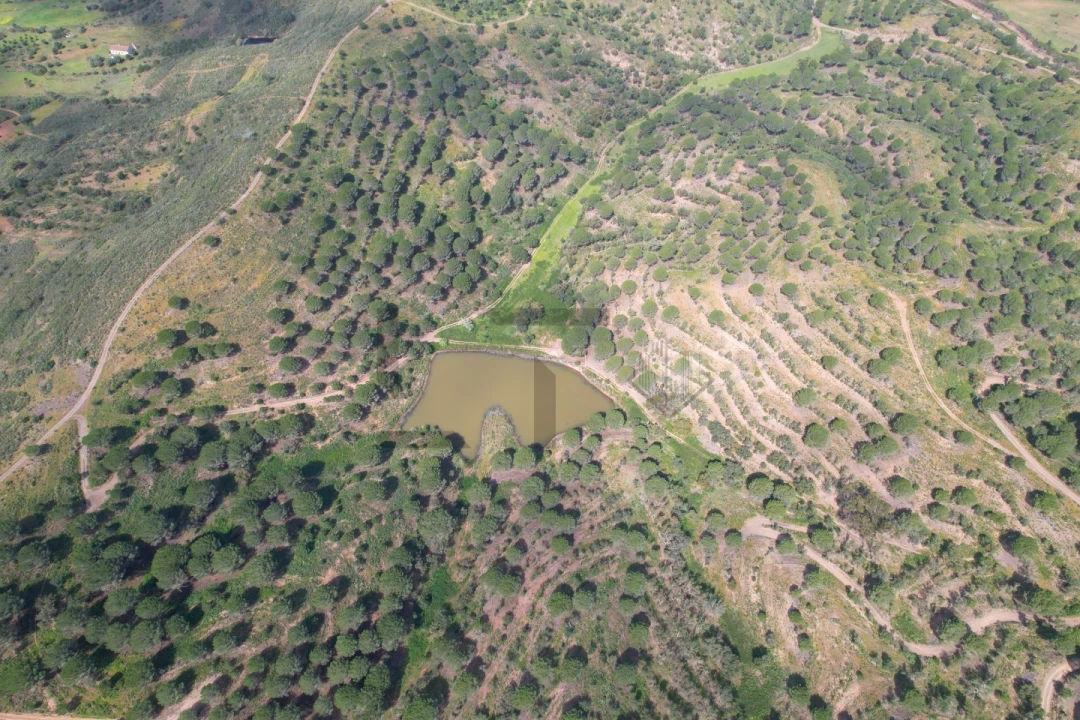 Terreno para Venda em São Bartolomeu de Messines Foto 46