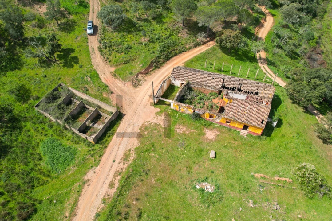 Terreno para Venda em São Bartolomeu de Messines Foto 52