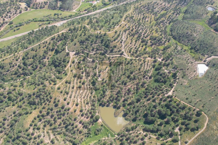 Terreno para Venda em São Bartolomeu de Messines Foto 14