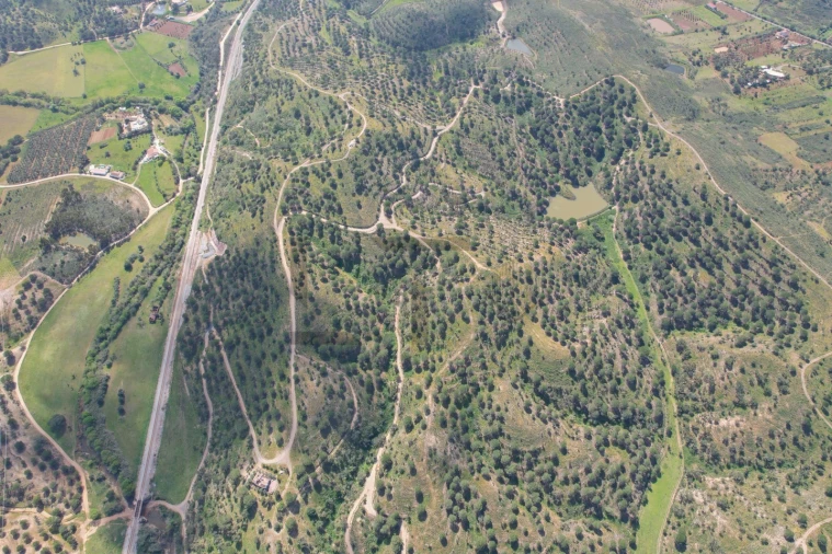 Terreno para Venda em São Bartolomeu de Messines Foto 26