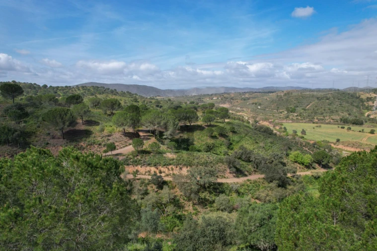 Terreno para Venda em São Bartolomeu de Messines Foto 36
