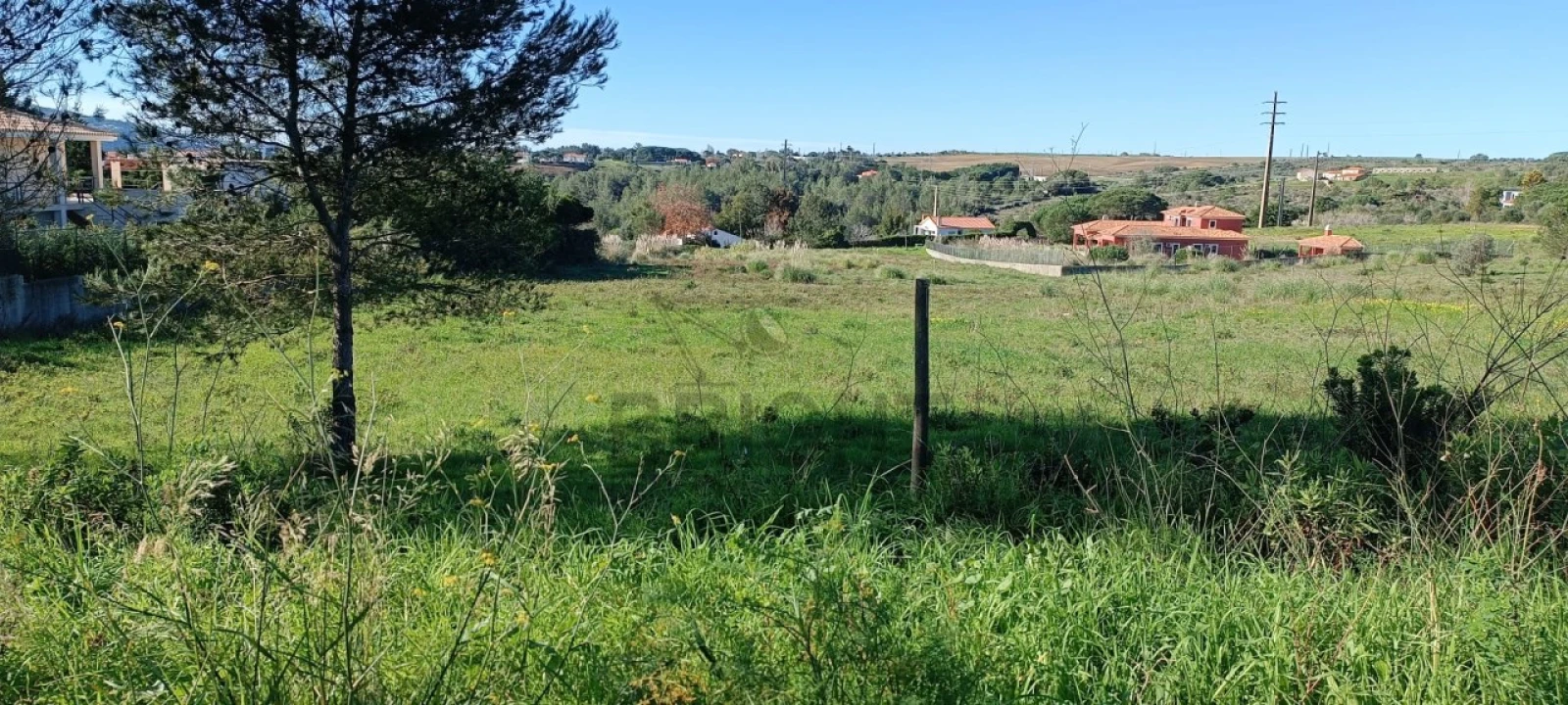 Terreno para Venda em Santa Maria e São Miguel, São Martinho, São Pedro Penaferrim Foto 1