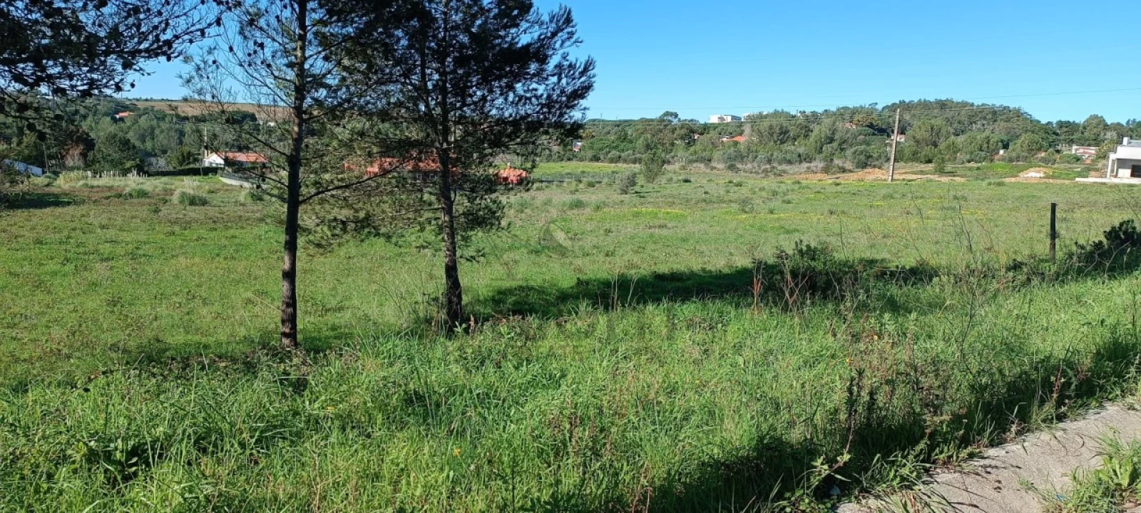 Terreno para Venda em Santa Maria e São Miguel, São Martinho, São Pedro Penaferrim Foto 3