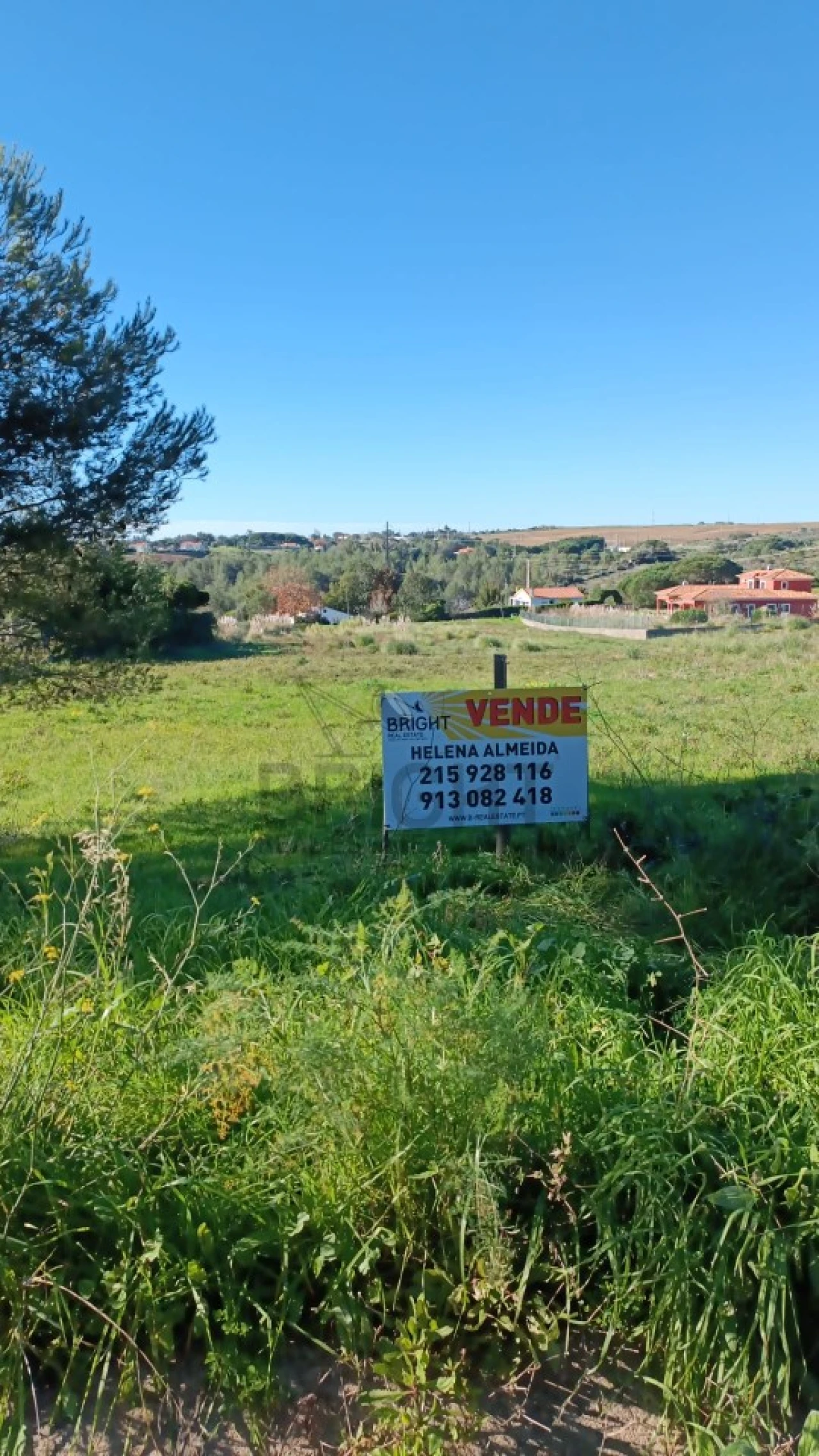 Terreno para Venda em Santa Maria e São Miguel, São Martinho, São Pedro Penaferrim Foto 4