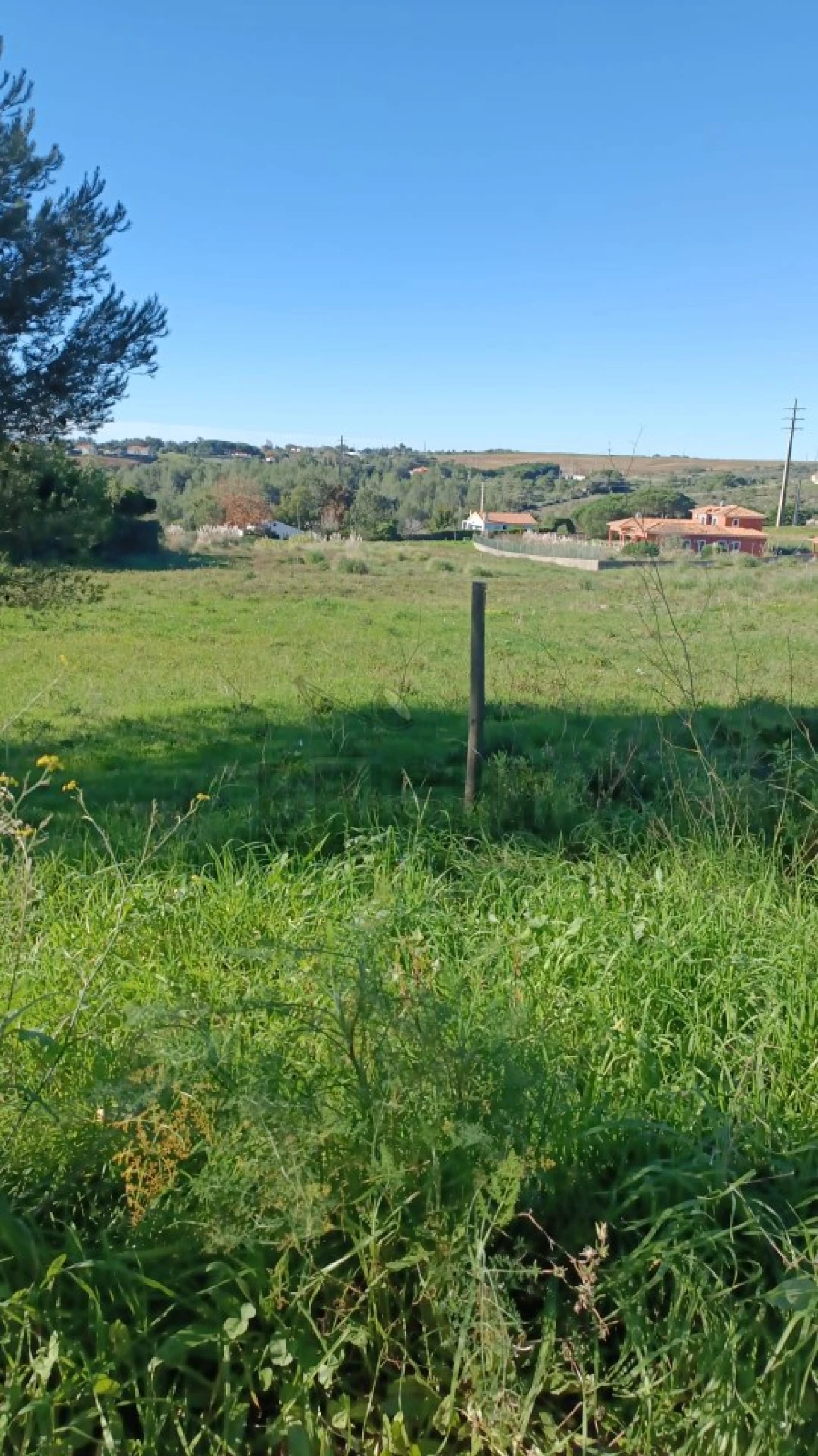 Terreno para Venda em Santa Maria e São Miguel, São Martinho, São Pedro Penaferrim Foto 5